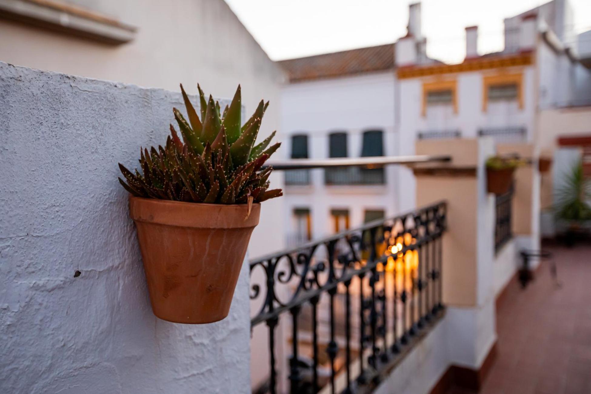 Apartamentos Dona Concha Sevilla Kültér fotó